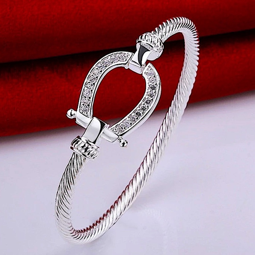 Sterling Silver Horseshoe Design Zircon Twisted Bangle Bracelet - Picture 8 of 13